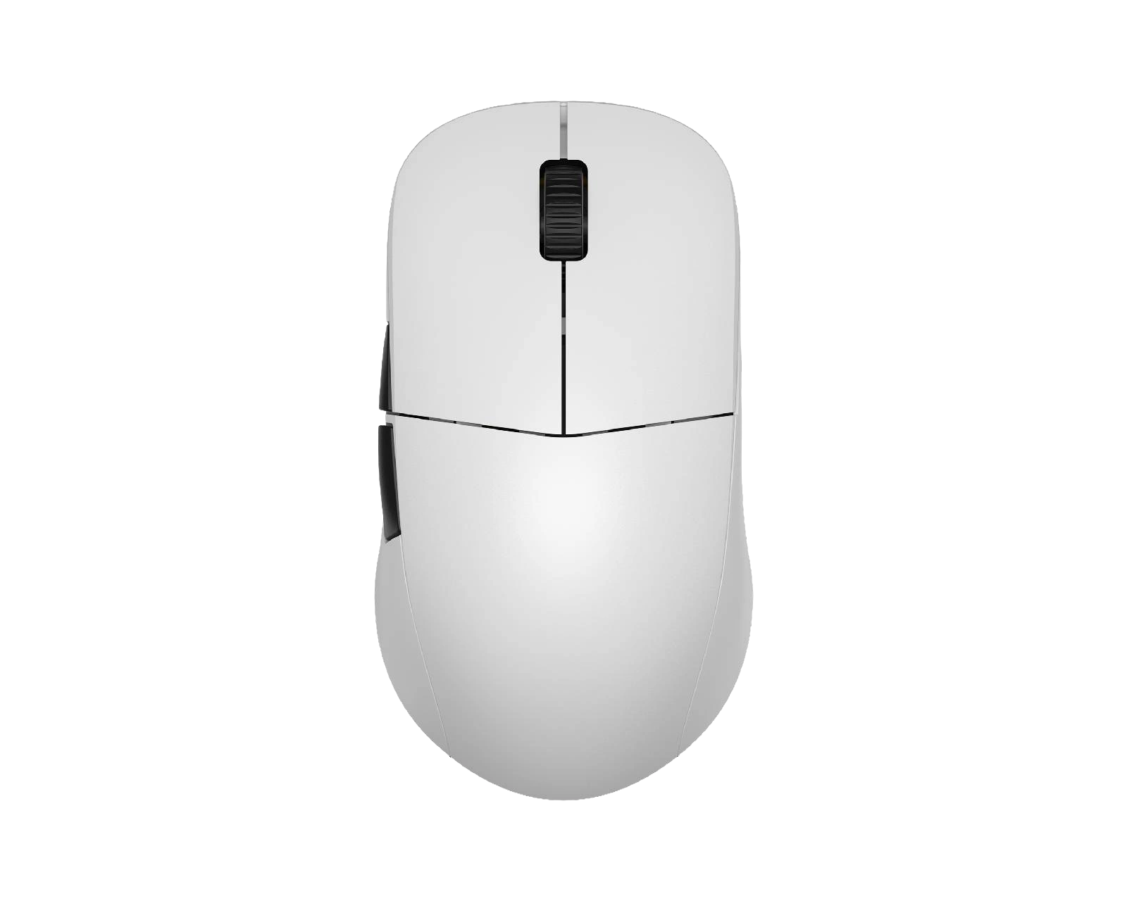 Endgame Gear XM2we Endgame esports gaming mouse