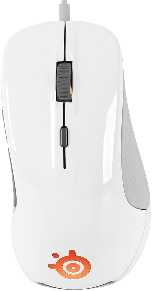 SteelSeries Rival 300 gaming mouse