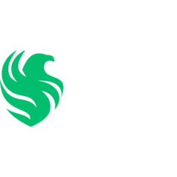 Falcons Esports