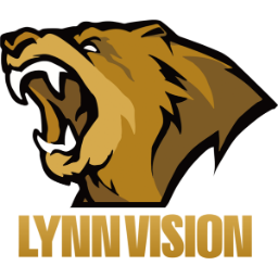 Lynn Vision