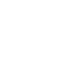 Paper Rex
