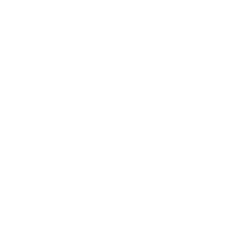 Team Secret
