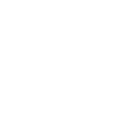 Team Spirit