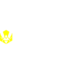 Team Vitality